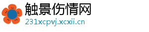 触景伤情网
